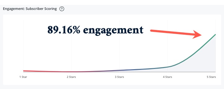 Email newsletter engagement rates